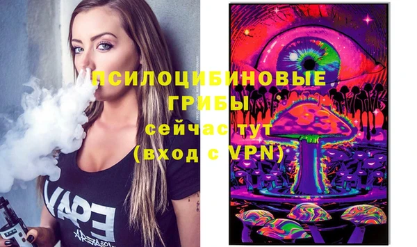МДПВ Богородицк