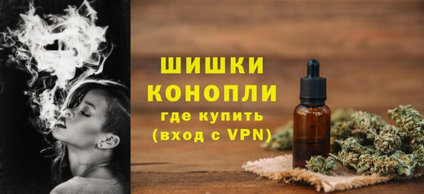 PSILOCYBIN Богданович