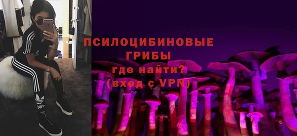 PSILOCYBIN Богданович