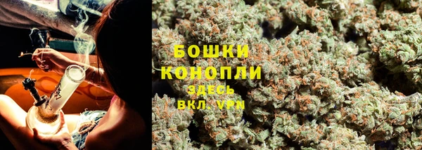 МДПВ Богородицк